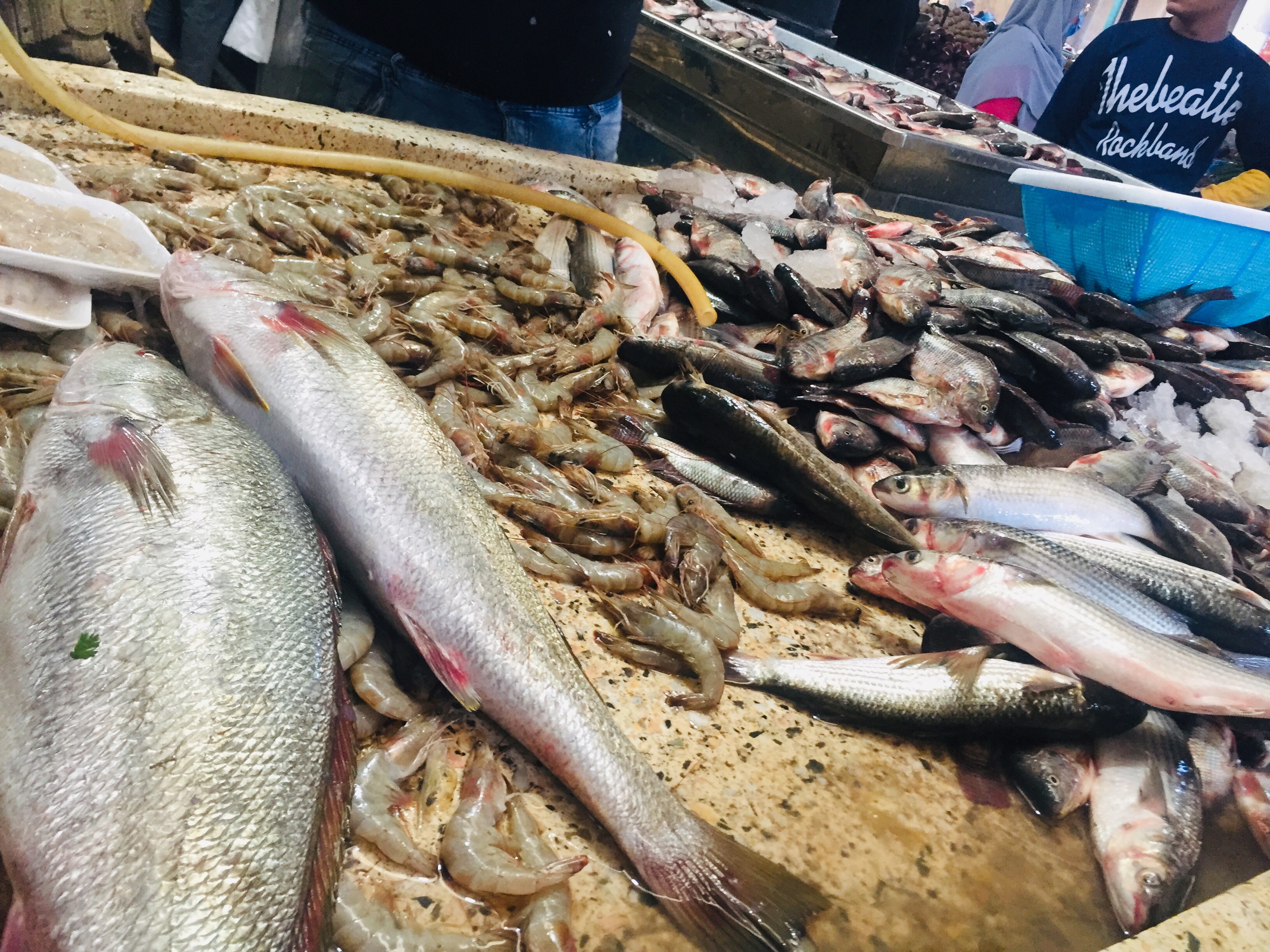 إقبال على شراء الأسماك بالإسماعيلية (5)