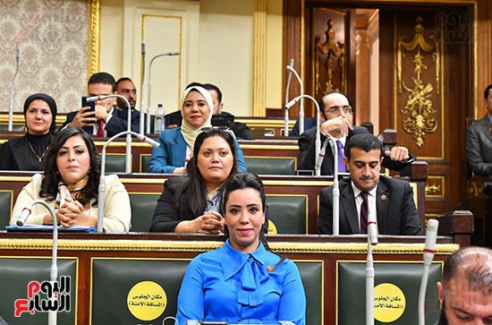 الجلسة العامة لمجلس النواب (21)