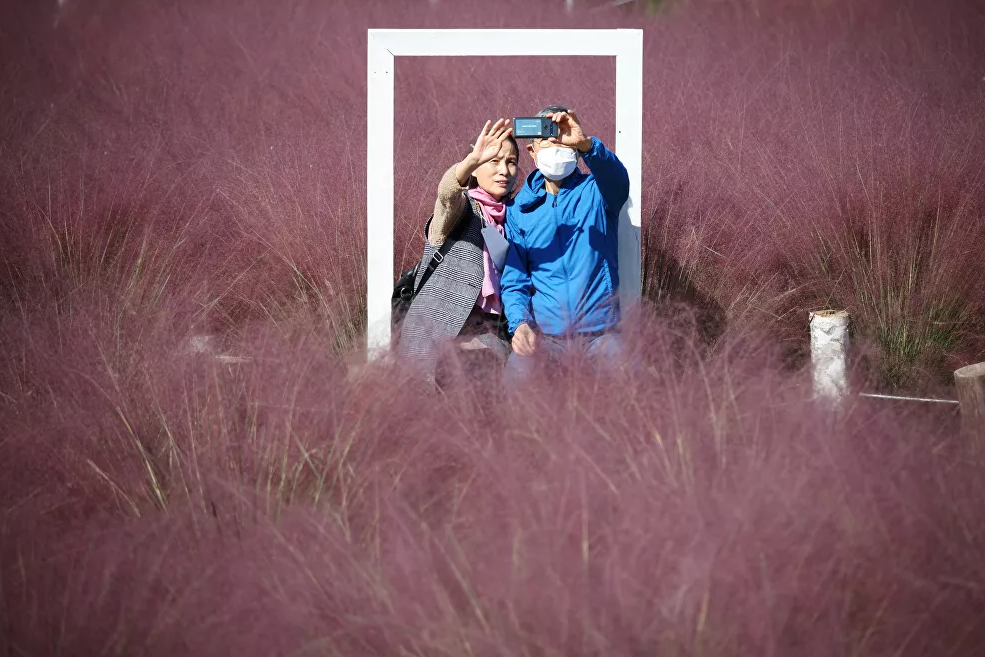 شخصان يلتقطان صورة على خلفية حقل العشب المهلي وردي اللون
