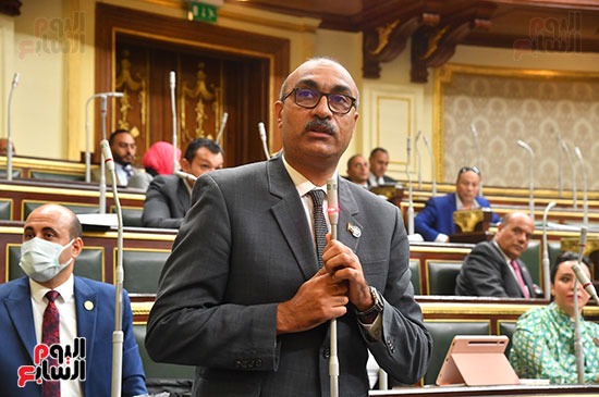 مجلس النواب الجلسة العامة (13)