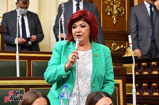 مجلس النواب الجلسة العامة (20)