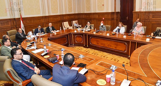 اجتماع لجنة العلاقات الخارجية بمجلس النواب برئاسة النائب كريم درويش بحضور دكتور ضياء رشوان (12)