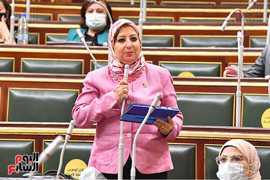 مجلس النواب الجلسة العامة (2)