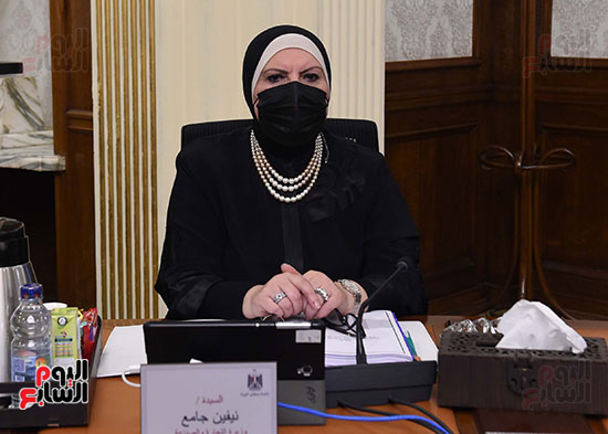 اجتماع الحكومة (13)