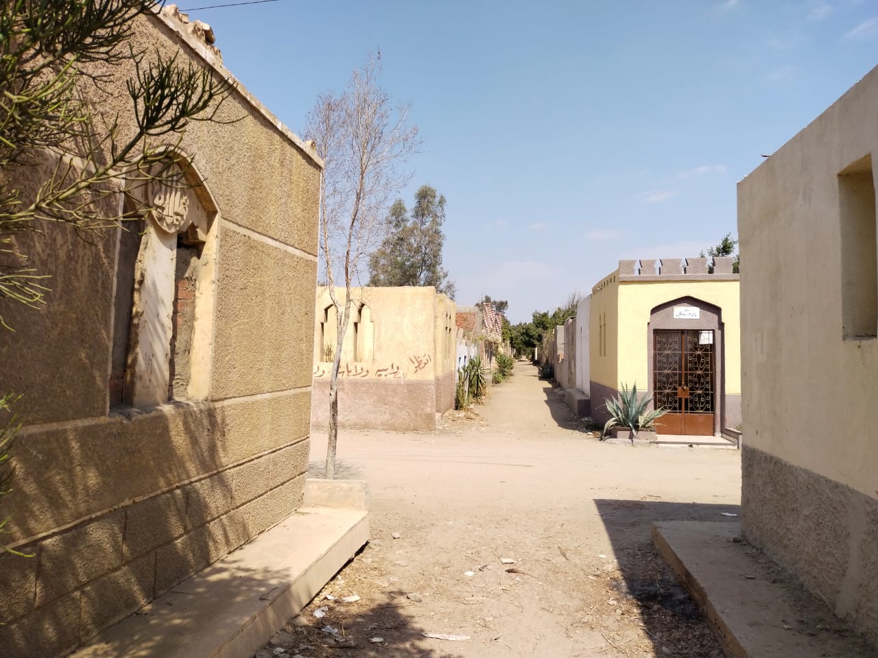 173617-جانب-من-المقابر-ببنها