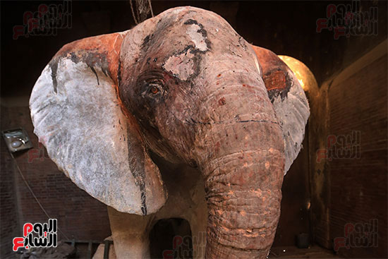 الفيلة نعيمة (10)