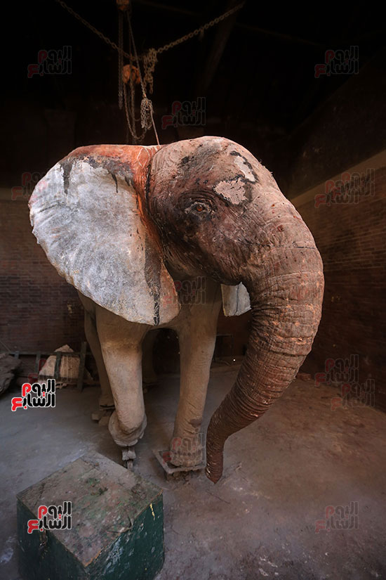 الفيلة نعيمة (12)