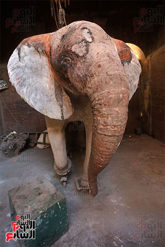 الفيلة نعيمة (9)