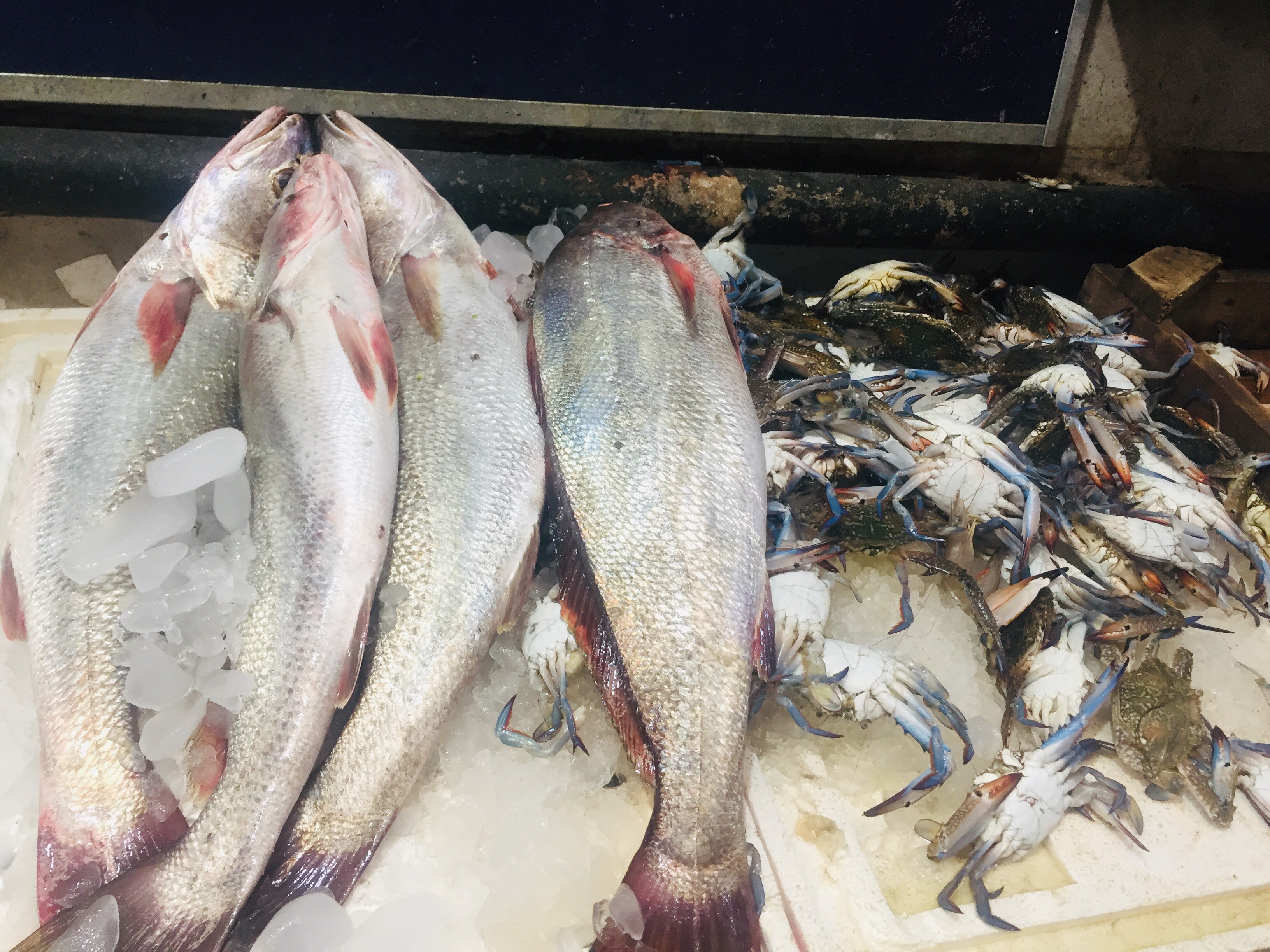 سوق السمك فى الاسماعيلية (2)