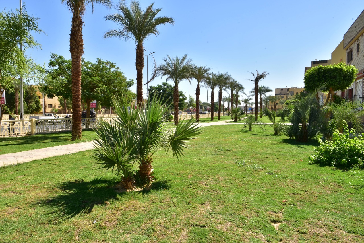 تطوير الحدائق بمدينة الأقصر