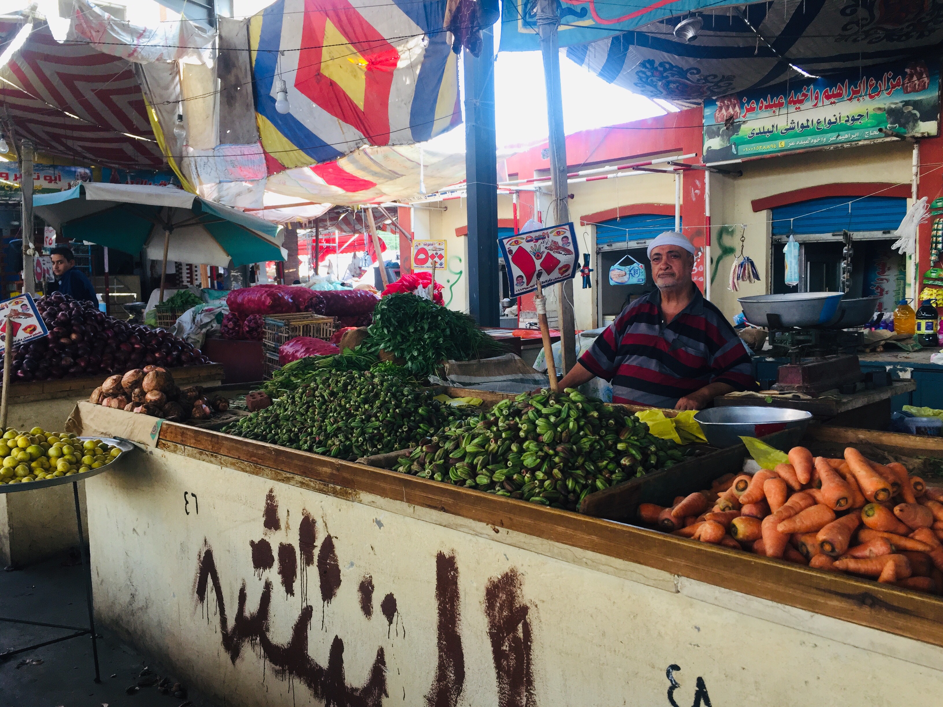 سوق الخضروات بالإسماعيلية (1)