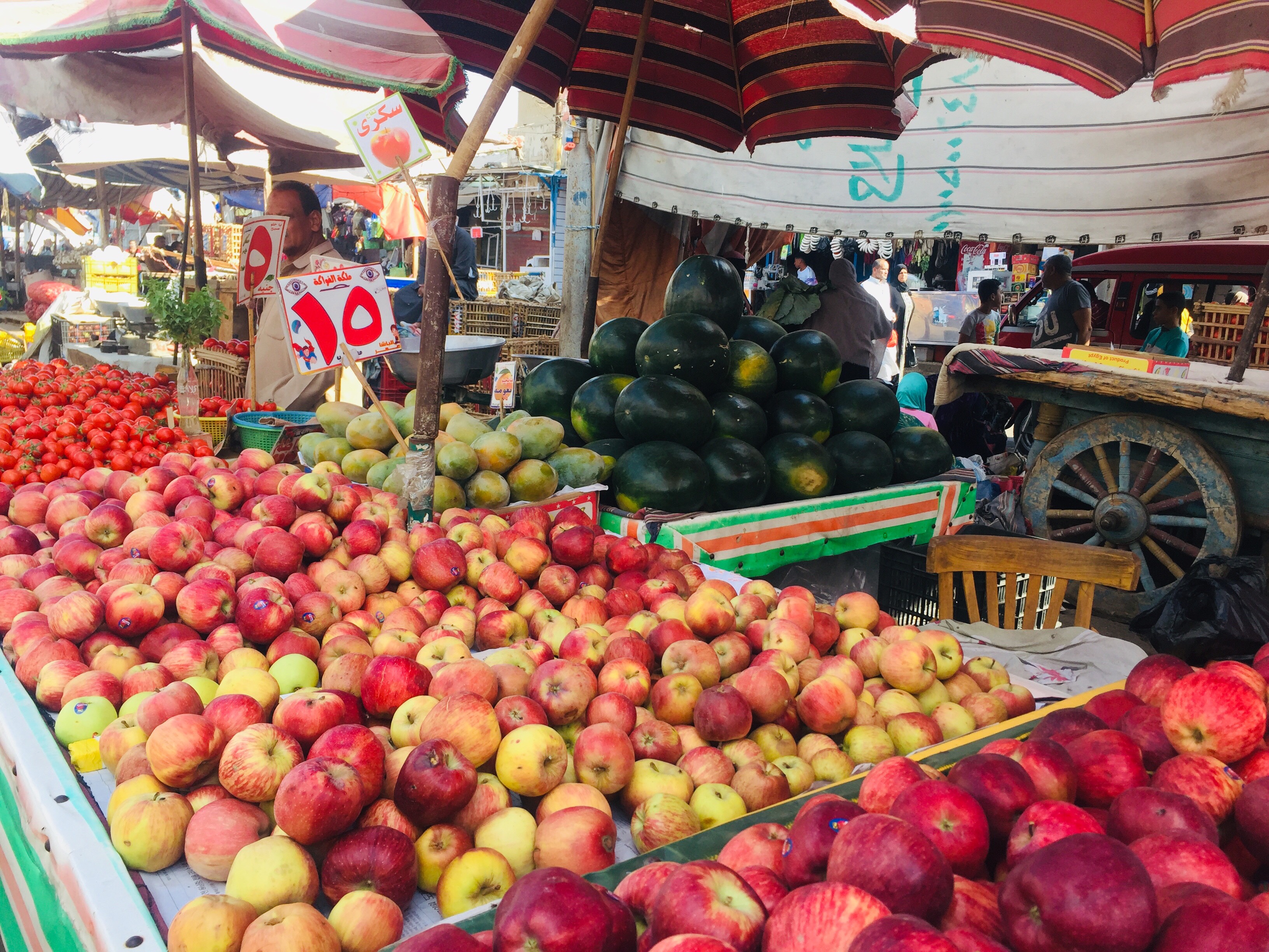 سوق الخضروات بالإسماعيلية (4)