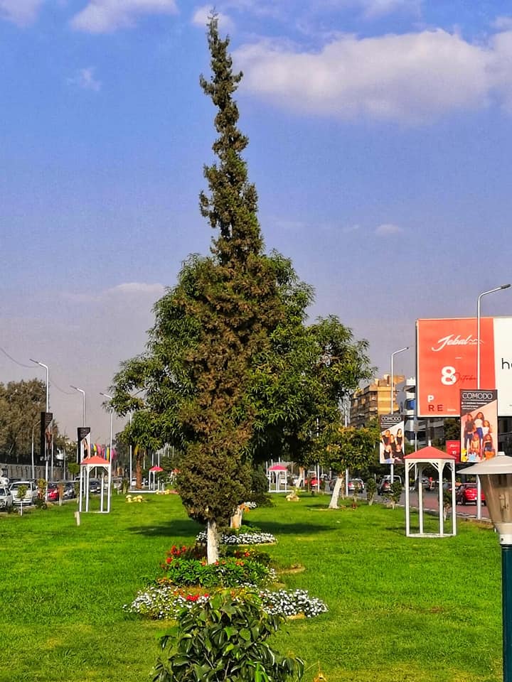 حديقة محور العروبة بالقاهرة  (6)