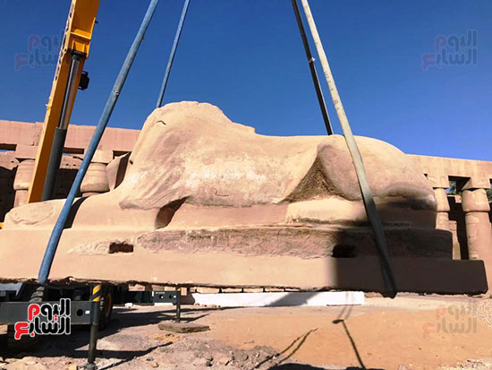 رفع-الكباش-قبل-وضعها-على-المصاطب رفع-الكباش-قبل-وضعها-على-المصاطب
