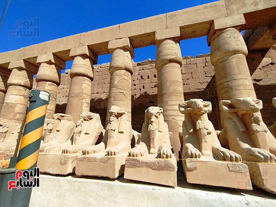 جانب-من-العمل-بالكباش-فى-اليوم-الأخير جانب-من-العمل-بالكباش-فى-اليوم-الأخير