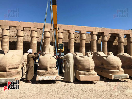 تجهيز-الكباش-قبل-رفعها-على-المصاطب تجهيز-الكباش-قبل-رفعها-على-المصاطب