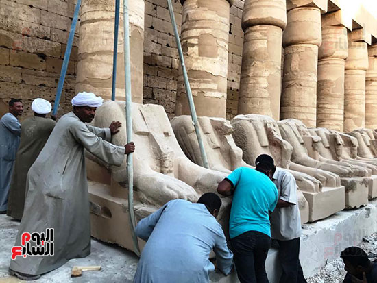 وضع-الكباش-على-المصاطب-بأيادي-مصرية وضع-الكباش-على-المصاطب-بأيادي-مصرية