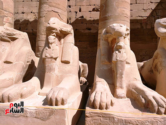 كباش-الكرنك-تعود-لموقعها-بعد-الترميمات كباش-الكرنك-تعود-لموقعها-بعد-الترميمات