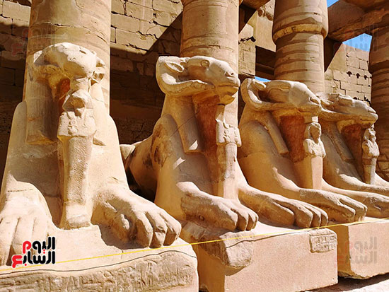 سحر-كباش-الكرنك-بعد-ترميمها سحر-كباش-الكرنك-بعد-ترميمها
