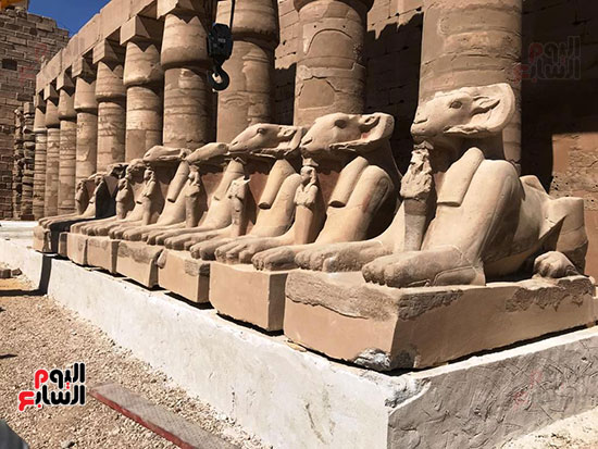 رص-ووضع-الكباش-على-المصاطب-عقب-الترميم رص-ووضع-الكباش-على-المصاطب-عقب-الترميم