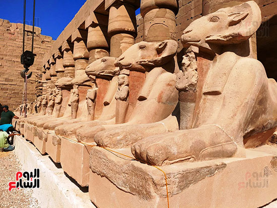 وضع-اللمسات-النهائية-على-الكباش-فى-الكرنك وضع-اللمسات-النهائية-على-الكباش-فى-الكرنك
