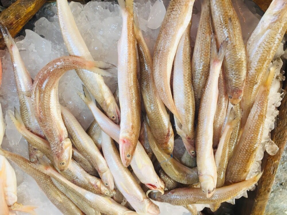 سوق الأنصارى للأسماك بمحافظة السويس (5)