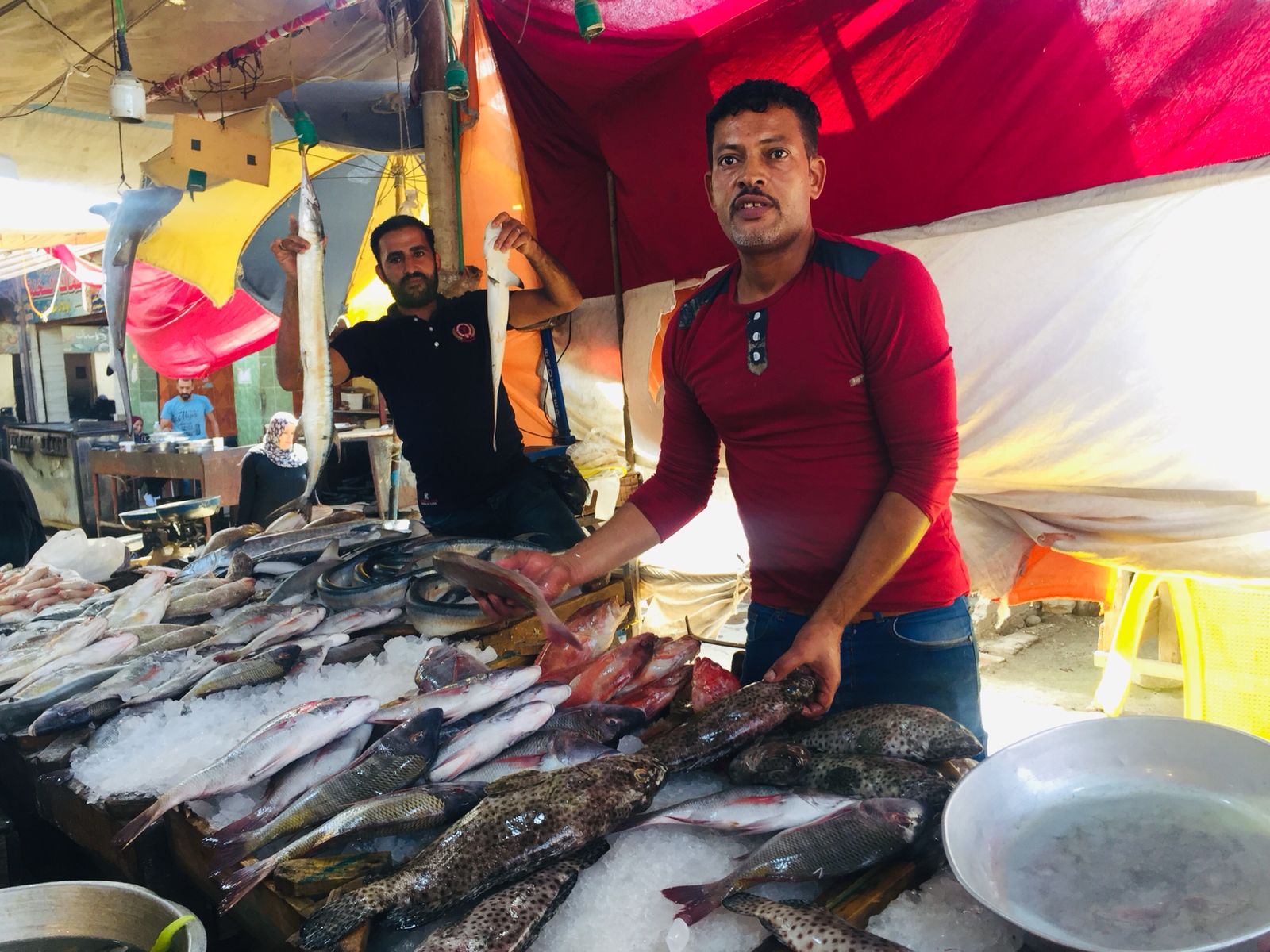 سوق الأنصارى للأسماك بمحافظة السويس (10)