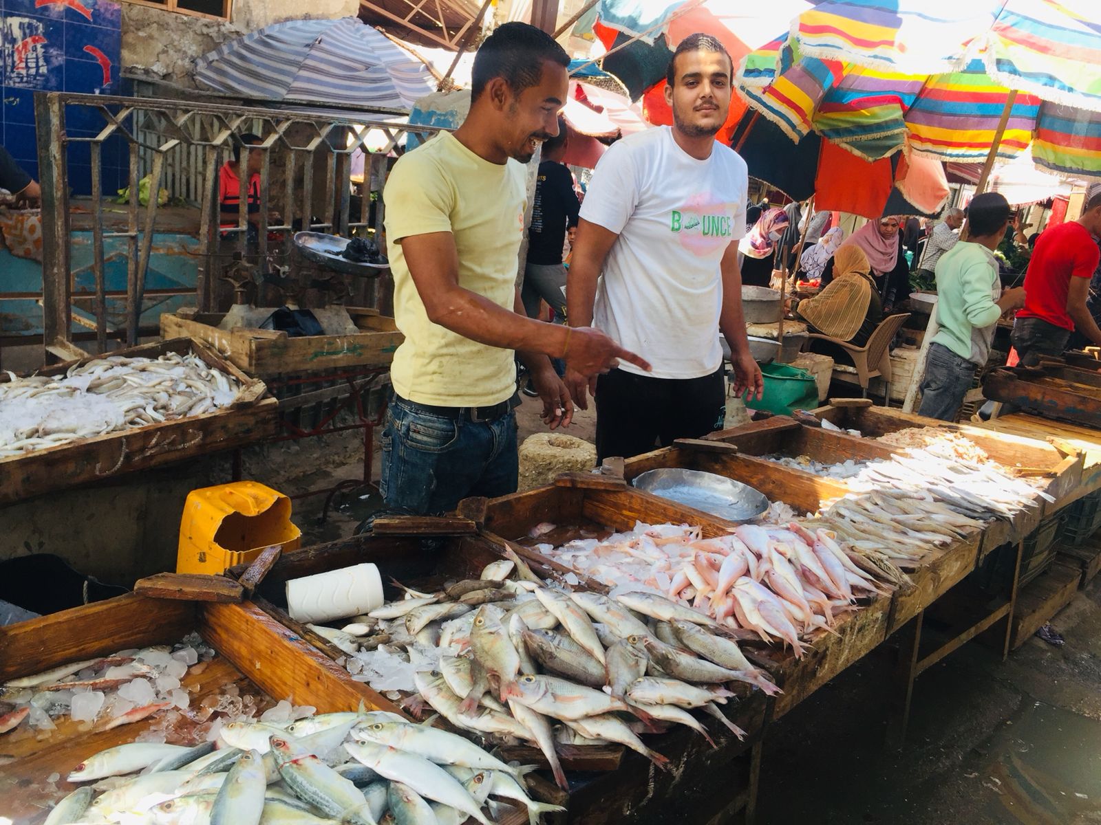 سوق الأنصارى للأسماك بمحافظة السويس (14)
