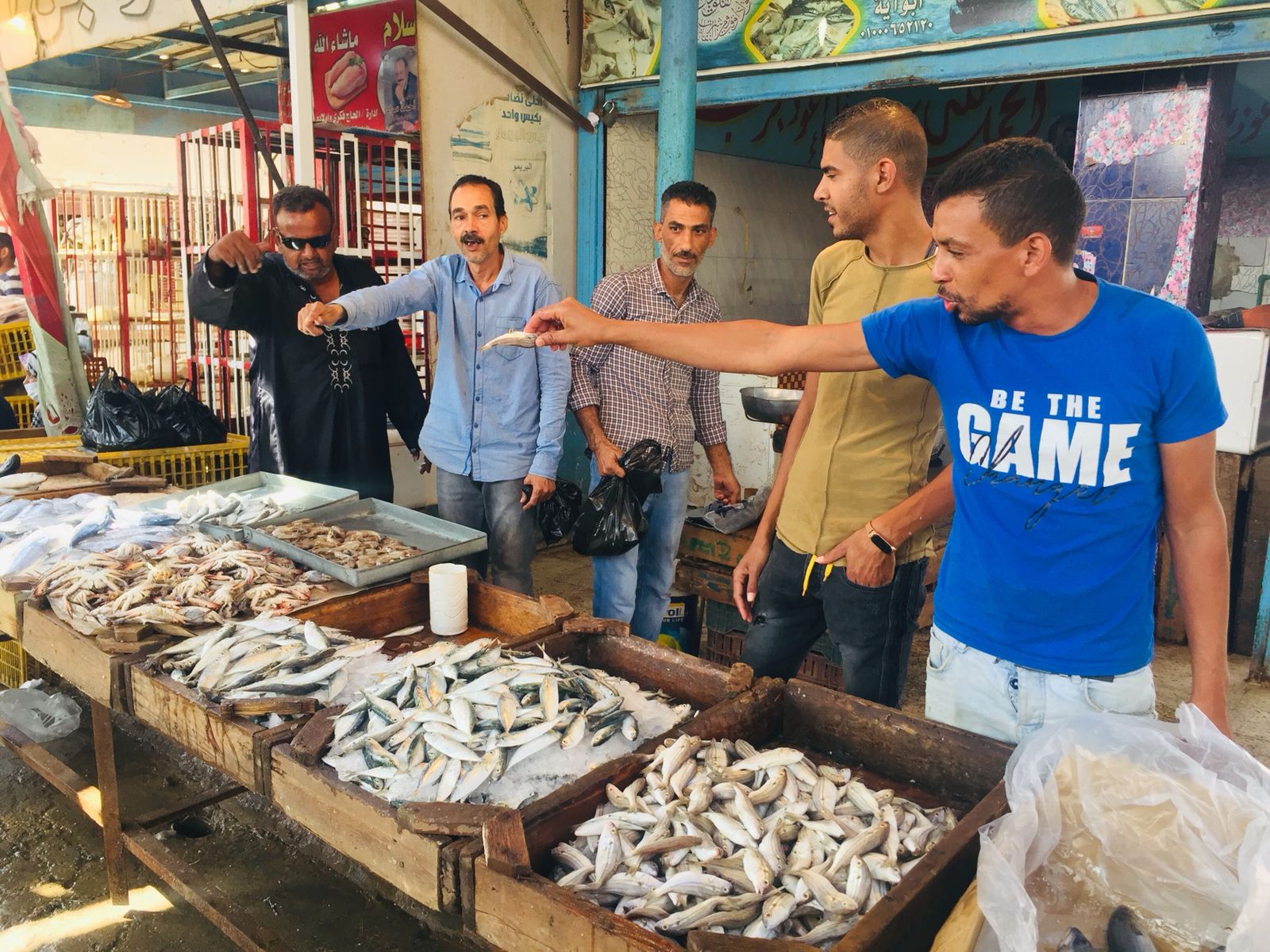 سوق الأنصارى للأسماك بمحافظة السويس (3)