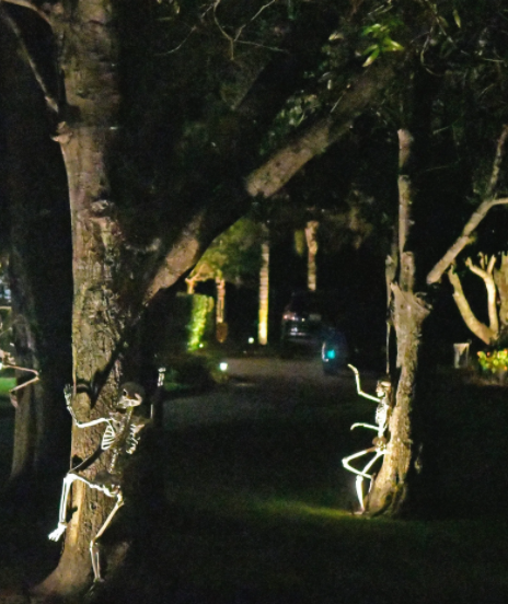 هياكل عظمية ترقص بين الأشجار في تيتوسفيل ،فلوريدا