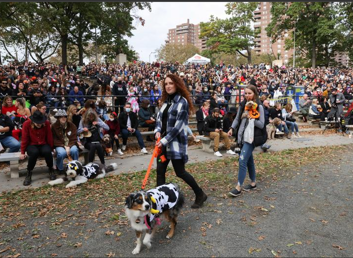 الجمهور يمشون كلابهم أمام الحشد خلال موكب الكلاب السنوي الحادي والثلاثين