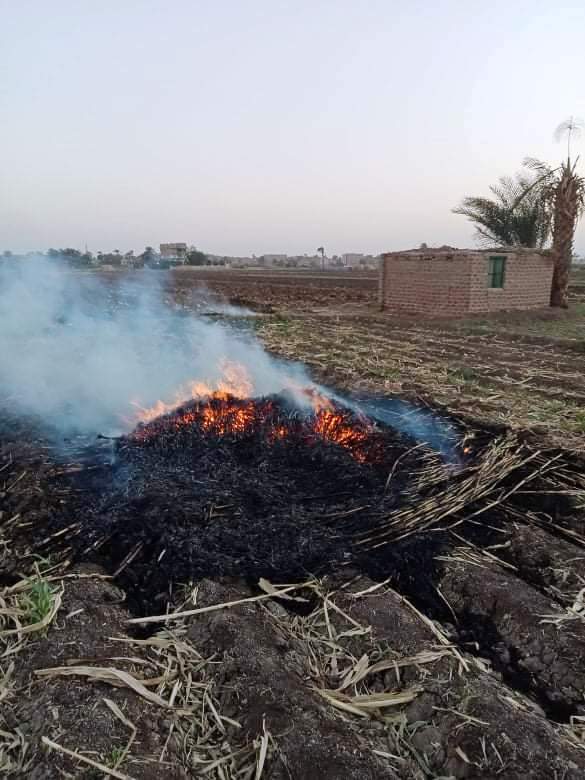 مخالفات حرق المخلفات الزراعية بسوهاج (1)
