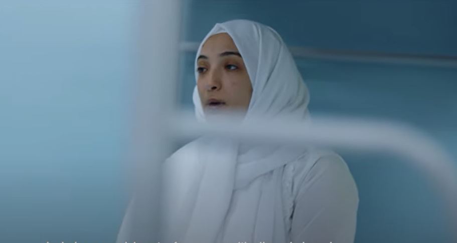 إحدى السيجنات