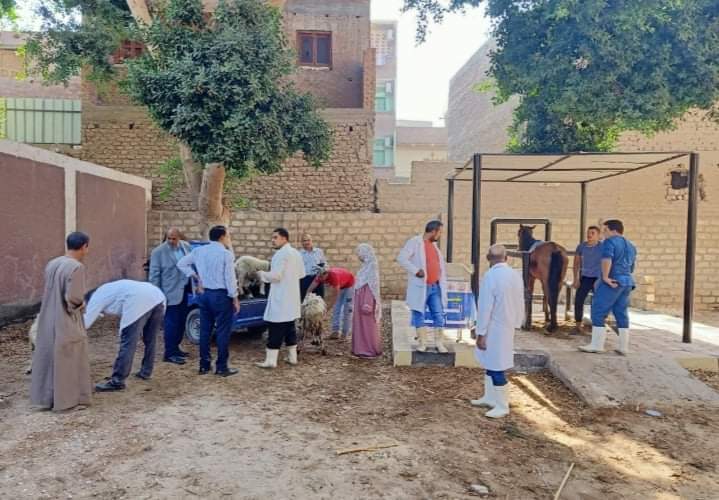 قافلة بيطرية بدير الجنادلة قافلة بيطرية بدير الجنادلة