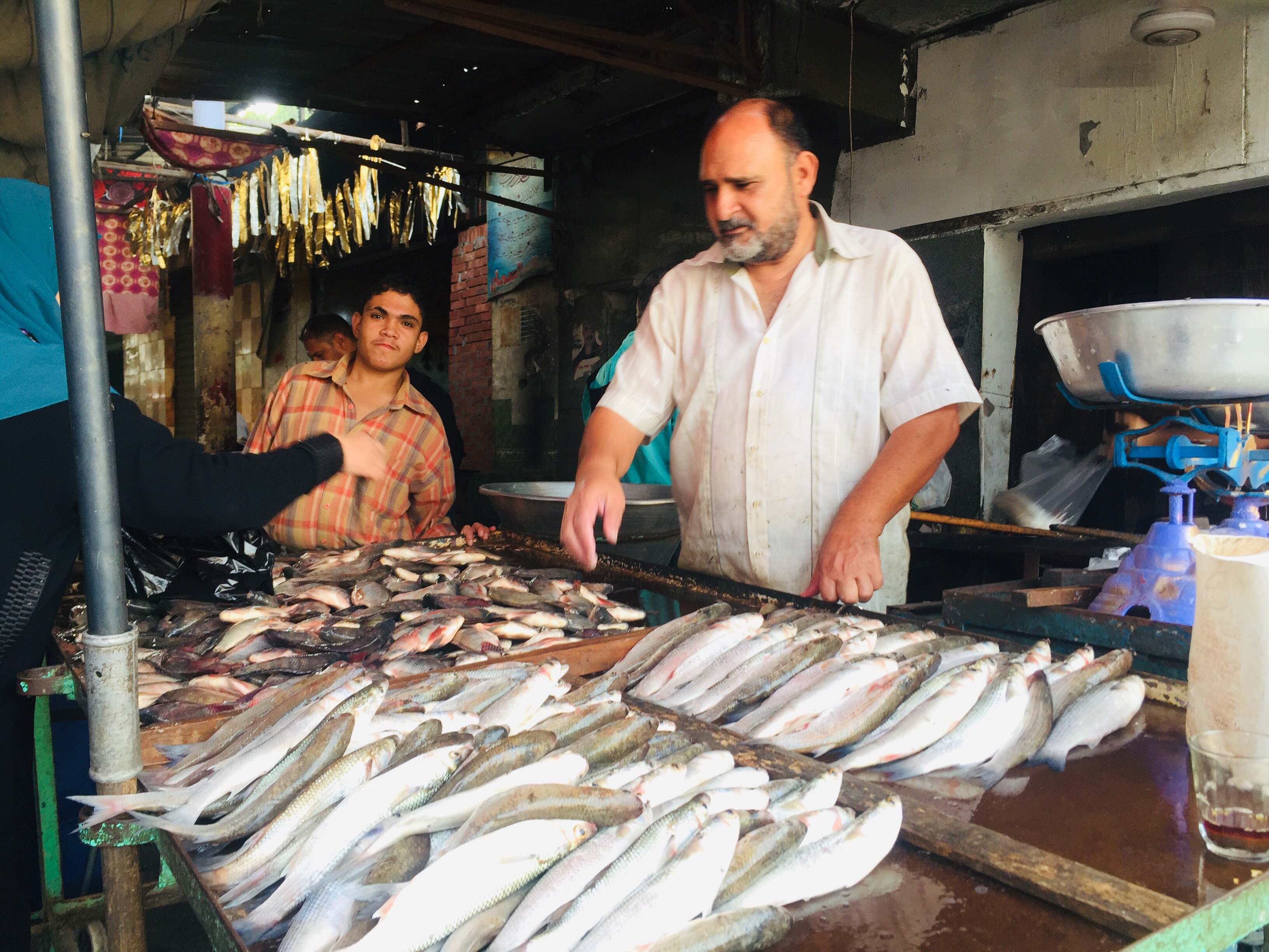 جانب من سوق السمك (3)