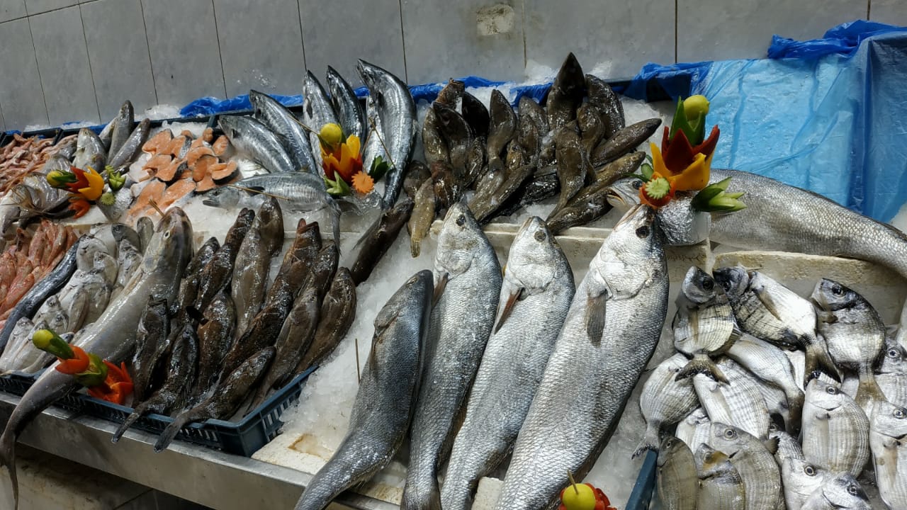 محلات مطروح تبيع اسماك البحر والمزارع