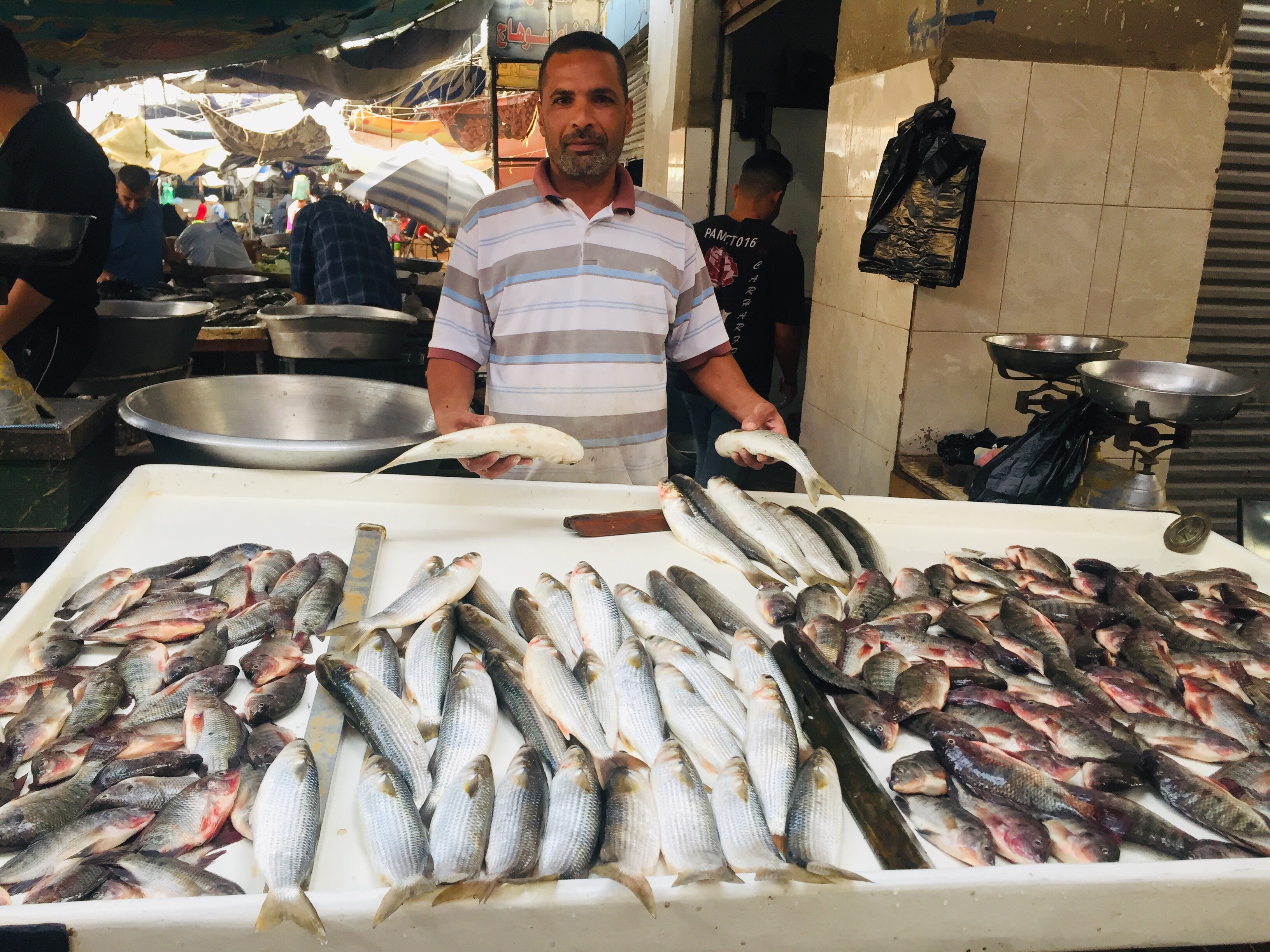 جانب من سوق السمك (10)