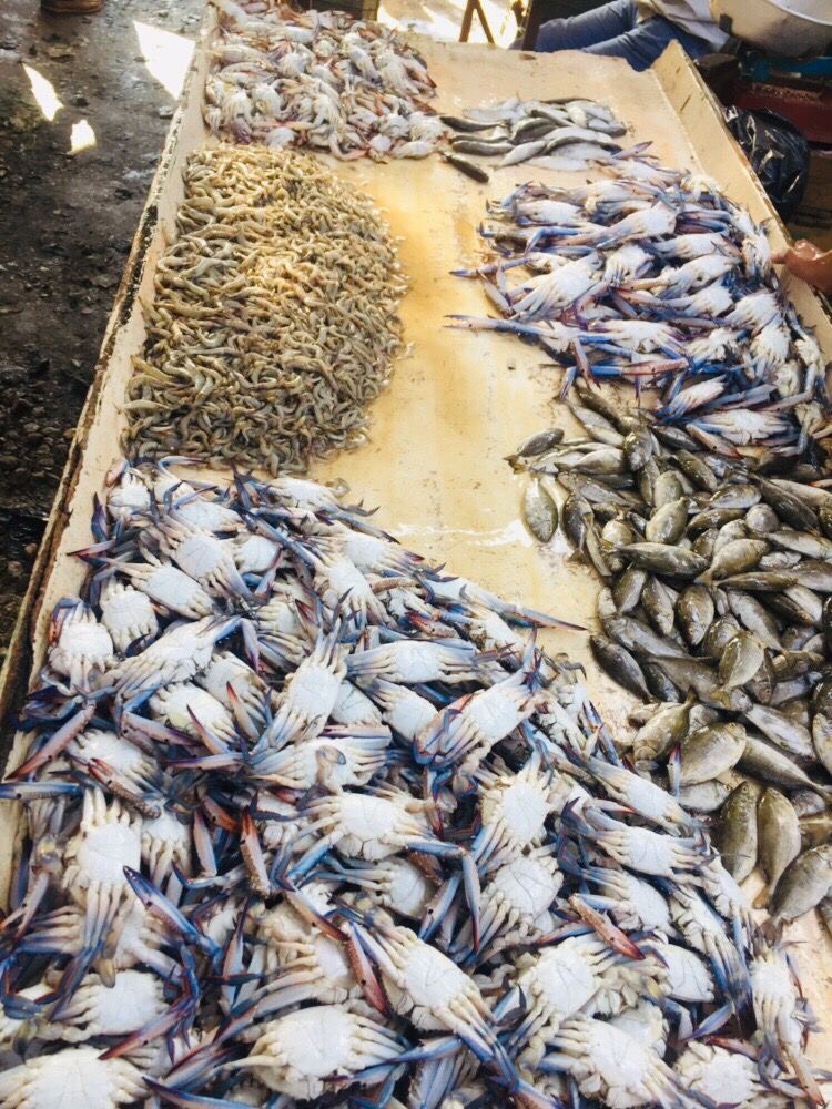 جانب من سوق السمك (9)