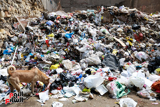 رفع الاشغالات والقمامة في منطقة السيدة زينب  (5)