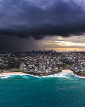 جانب من الصور