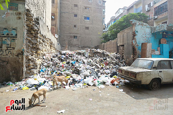 رفع الاشغالات والقمامة في منطقة السيدة زينب  (4)