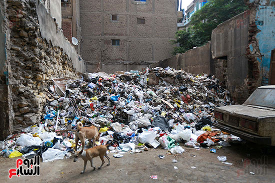 رفع الاشغالات والقمامة في منطقة السيدة زينب  (16)