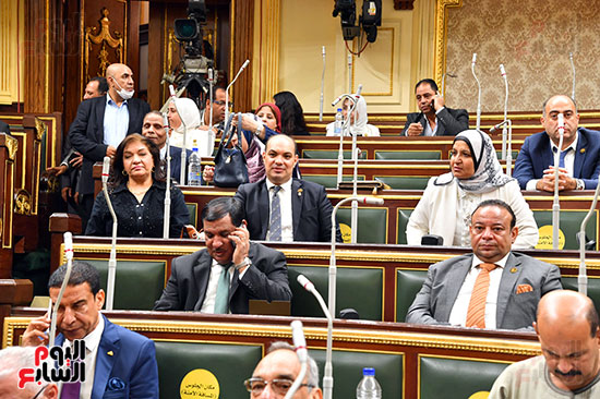 الجلسة العامة لمجلس النواب (7)