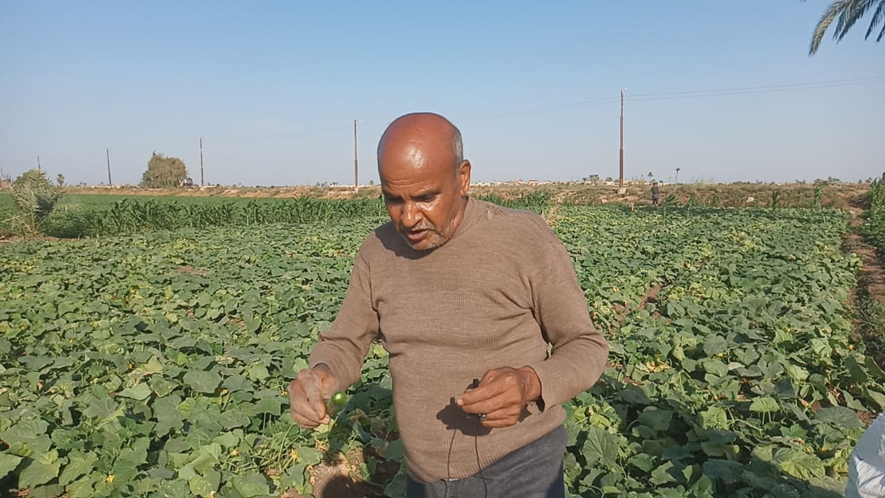 لقاء اليوم السابع مع صاحب مزرعة لقاء اليوم السابع مع صاحب مزرعة