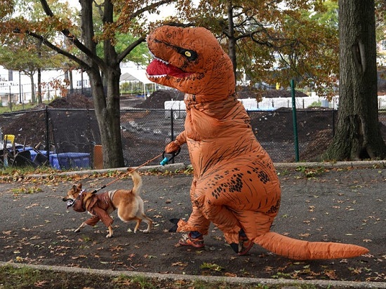 رجل متنكر فى زى ديناصور مصطحب كلب