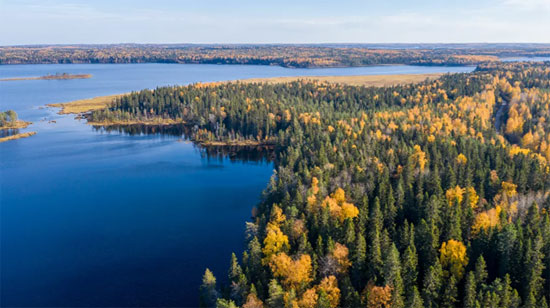 54989-غابات-تتلون-بألوان-فصل-الخريف-على-خلفية-بحيرة-في-جمهورية-كاريليا-الروسية