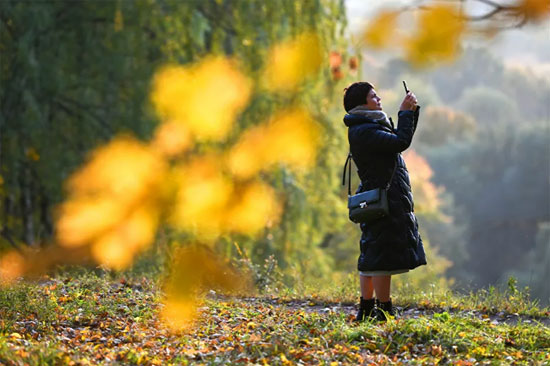 57492-امرأة-تلتقط-الصور-لأشجار-الخريف-في-إحدى-حدائق-موسكو