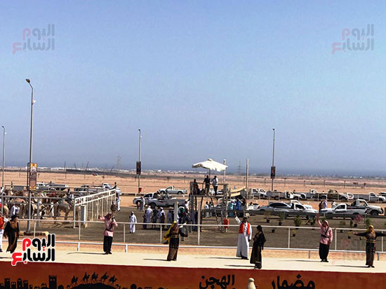 محافظ جنوب سيناء يعلن استمرار تطوير سباقات الهجن (4)