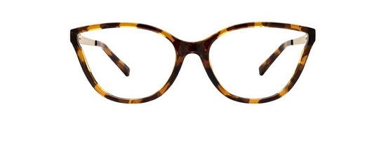النظارات المليئة بالتفاصيل (1)