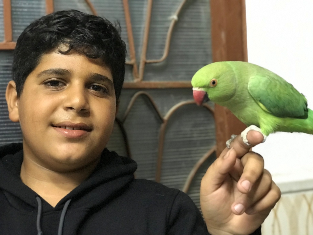 الطفل عاشق الطيور والحيوانات
